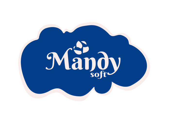 mandysoft logo_main logo